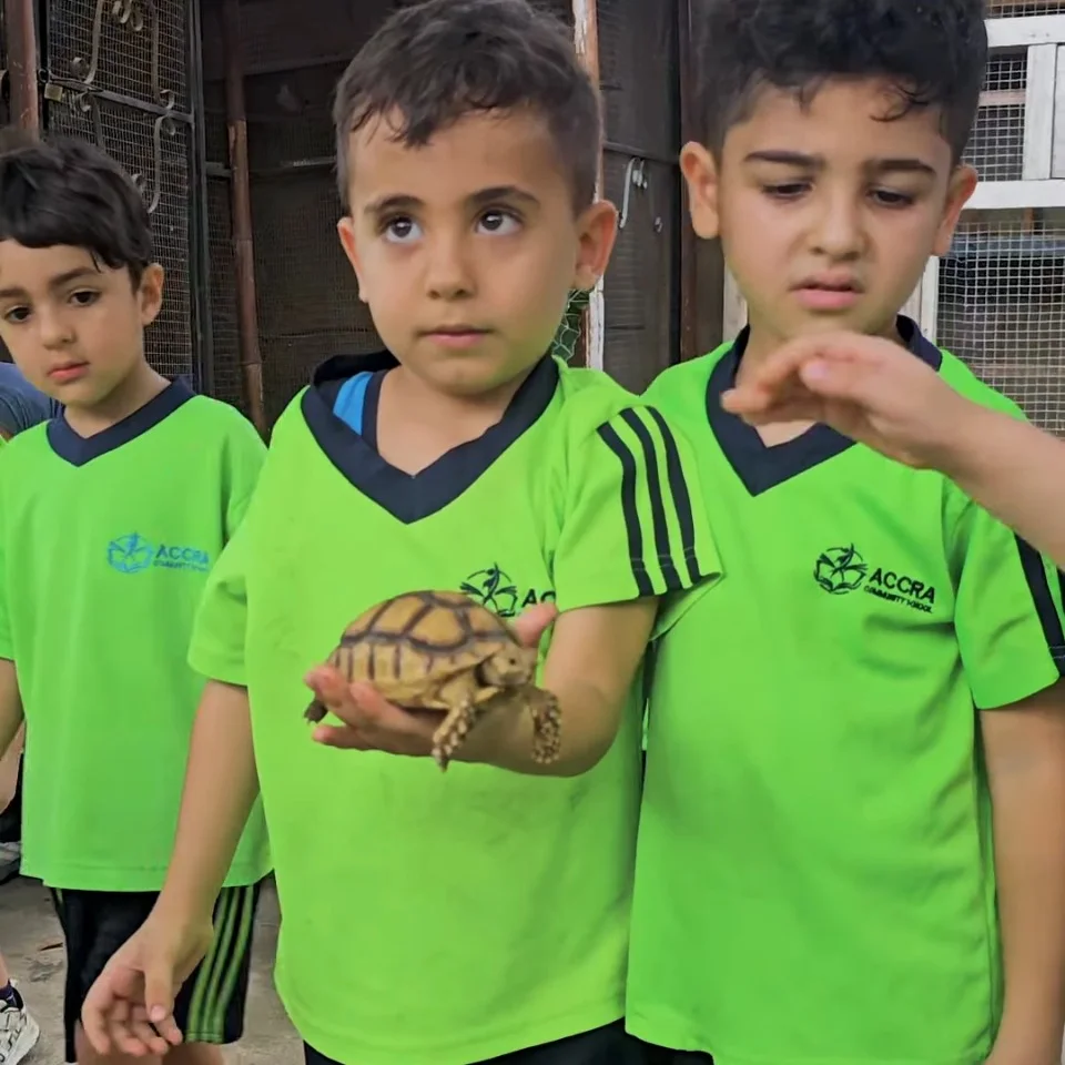 Foundation Stage: learning through play